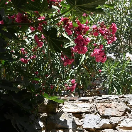 Aiolis Holiday home Parikia (Paros)